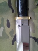20160318_101656.jpg