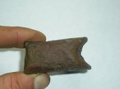 PIC_0531.JPG