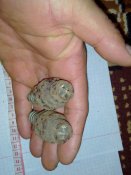 20160319091828.jpg