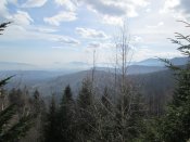 IMG_0239.JPG