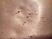 IMG_20160319_232415.jpg