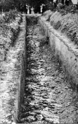 Винницкая трагедия 1943 г -  Communists Threw, Pits Communists, Vinnytsia Massacre.jpg