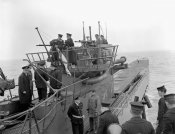 a171391-v6.jpg