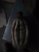 DSCF9806.JPG