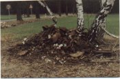 Schoener_Haufen1.jpg