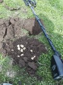 20160320_125010.jpg