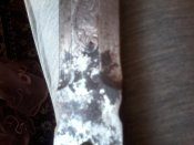 20160319_123808.jpg