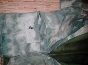 20160322152236.jpg