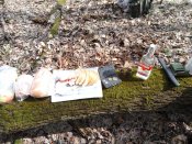 IMG_2016-03-22_130355[1].jpg