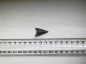 2303201612198.jpg