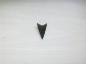 2303201612200.jpg