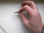 2303201612201.jpg