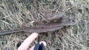 20160324_105421.jpg