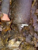 IMG-20131125-00081.jpg