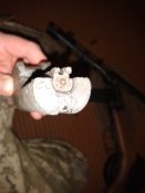 2016-03-24 18.09.16.jpg