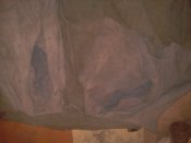 2016-03-25 14.05.52.jpg
