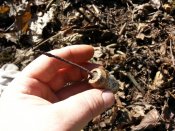 20160326_125001.jpg