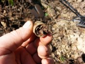 20160326_125011.jpg