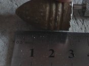 HPNX6889.JPG