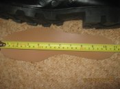 IMG_4655.jpg