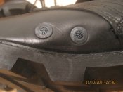 IMG_4661.jpg