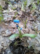 IMG_20160327_134659.jpg