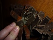P1030697.JPG