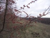 DSC03557.JPG