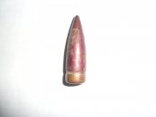 SAM_3081.JPG