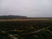 IMG_20160326_163614.jpg