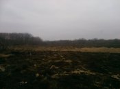 IMG_20160326_163618.jpg