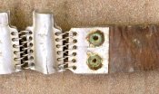 XM1000-1.jpg