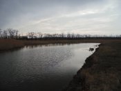 DSC07338.JPG
