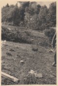 Sedan4.jpg