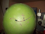 100_6019.jpg