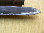 DSCN9460.JPG