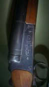 IMAG1378.jpg