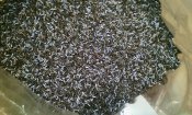 IMG_20160331_193056.jpg