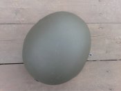 20160331_153859.jpg