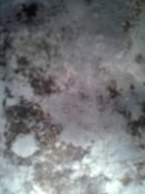 13012011052.jpg