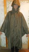 photofacefun_com_1459490006.jpg