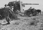 flak88.jpg