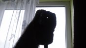 20160401_115732.jpg