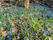 IMG_20160401_144430.jpg