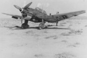 Ju_87_B_StG_1_Afrika_1941_1942.jpg