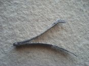 DSC01763.JPG