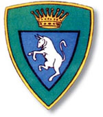 Alpini-Taurinese-01.jpg