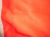 DSCN2292.jpg