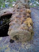 IMG_20160402_163122.jpg