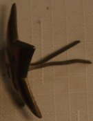 DSC04563.JPG